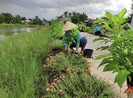 Huyện Bình Chánh: Xóa được nhiều điểm đen về rác
