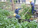 Tìm giải pháp bảo vệ tài nguyên nước cho TP.HCM