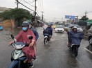 TP.HCM: Thực hiện Thỏa thuận Paris về biến đổi khí hậu