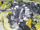 Bí ẩn từ vụ nổ trong căn nhà của người đàn ông có bồ trẻ