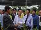 Phó Thủ tướng thăm mô hình sản xuất tại Lâm Đồng