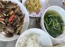 Cá rô ron xóc mắm gừng ngày mưa bão