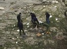 Thi thể 2 nam giới dạt vào bờ biển