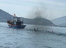 Thuyền câu mực va chạm với tàu cá làm 1 người chết, 1 mất tích