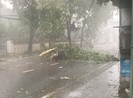 1 chuyên viên phòng GD&ĐT tử vong do bão số 5