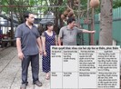Đã có bản án phúc thẩm khiến vợ bị đơn định nhảy lầu tại tòa