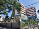 Ngoài hình sự, BN 1342 còn đối diện bồi thường thiệt hại