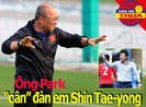 Ông Park 'cân' đàn em Shin Tae-yong; Thái Lan hướng đến 2026
