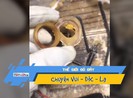 Bạn từng thấy người ta biến xương bò thành trang sức?