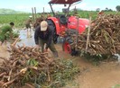 Công an giúp sơ tán, di dời tài sản người dân vùng ngập lụt