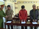 Video: Bắt 4 lãnh đạo, cán bộ công ty Lâm nghiệp rừng Ea Kar