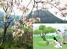 Cần làm gì vào tết Thanh minh mùa COVID-19?