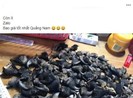 Quảng cáo bán động vật hoang dã có thể bị phạt trăm triệu