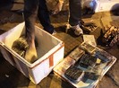 Bắt 17 bánh heroin trong đường dây ma túy xuyên quốc gia