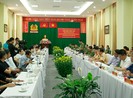 TP.HCM: Số người chết và bị thương vì tai nạn giao thông giảm