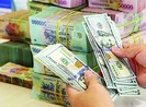 Công an TP.HCM truy tìm người phụ nữ bị tố lừa 34 tỉ đồng