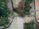 1 người rơi lầu ở Trường ĐH Ngoại ngữ - Tin học TP.HCM