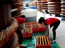 Đề nghị đánh giá rủi ro kim loại nặng trong thực phẩm