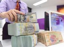 Tiền đồng đang bền bỉ giữ giá