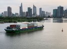 Hưởng thuế 0%, tôm cá Việt 'hạ' đối thủ tại châu Âu