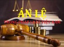 Án lệ được áp dụng sau 30 ngày thay vì 45 ngày