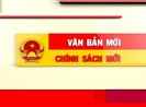 Những quy định mới có hiệu lực trong tháng 10-2020