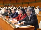 Không đưa chỉ tiêu 'trồng 1 tỉ cây' vào Nghị quyết chất vấn