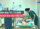 Cảnh báo từ 2 ca mắc viêm não Nhật Bản ở Đắk Lắk