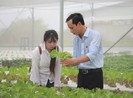 Ngỡ ngàng với vườn rau sạch trên bãi rác Đông Thạnh