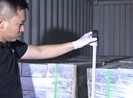 Triệt phá đường dây ma túy do cựu cảnh sát Hàn Quốc cầm đầu