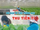 Hành trình chinh phục rau thủy canh của đôi bạn Tuấn - Ngọc