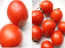 Dễ dàng nhận biết cà chua có hóa chất