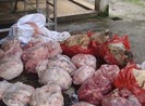 Xe khách lộng hành chở thực phẩm bẩn