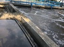 TP.HCM xây dựng nhà máy xử lý nước thải ở quận Bình Tân