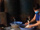 TP.HCM yêu cầu xử lý dứt điểm nơi giết mổ gia cầm trái phép