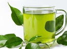 Trà xanh có thể giúp chống lại dị ứng thực phẩm