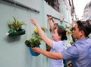 Sử dụng lại chai nhựa để trồng cây