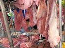 TP.HCM tăng cường ngăn chặn vận chuyển heo trái phép