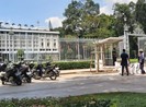 Loại cây được trồng thay thế ở Dinh Độc Lập là cây gì?