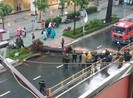 Nguyên nhân cây xanh bật gốc, ngã đè chết người ở quận 10