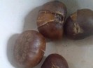 Những lợi ích bất ngờ từ món hạt dẻ