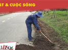 Khi nào Công viên Gò Vấp mới hoàn thành?