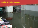 Ở nơi cư dân thành phố 10 năm sống trong cảnh ngập lụt