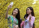 Giới trẻ đổ xô ‘check-in’ đường mai độc đáo ở Sài Gòn