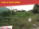 Công an thụ lý vụ KDC Hiệp Bình Chánh bị đem bán