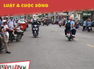 Hay, dở với đề xuất người từ 16 tuổi phải có bằng lái xe A0