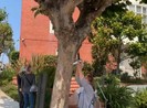 Người biểu tình vây nhà bà Pelosi, đòi mở cửa tiệm làm tóc