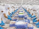 Đề xuất cắt giảm, đơn giản hóa hơn 100 thủ tục hành chính