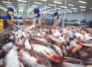 Tập đoàn bán lẻ lớn nhất châu Âu nói gì về cá tra Việt?
