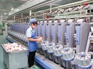 'Nhiều công ty Việt sẽ bị nhà đầu tư Trung Quốc thôn tính'